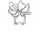Wild Yoga Norfolk
